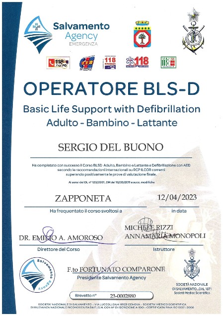 Basic Life Support with Defibrillation Adulto Bambino Lattante