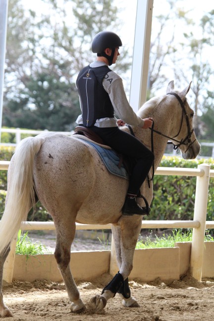 Equitazione 02