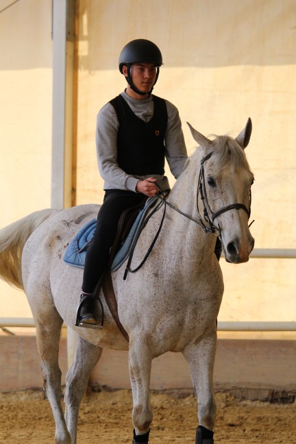 Equitazione 01