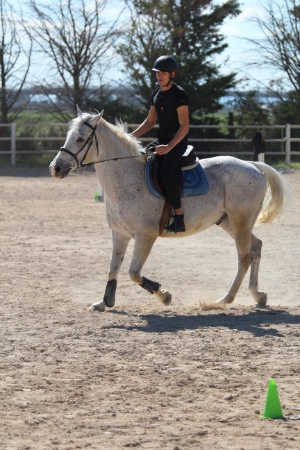 Sergio Del Buono a cavallo di Stracciatella