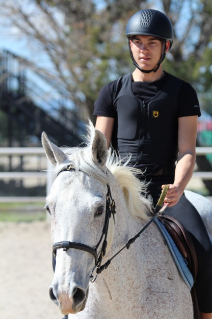 Cavallo e cavaliere