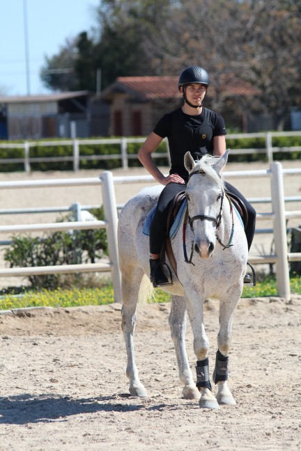 Centro Ippico Equis eo cavaliere e cavallo